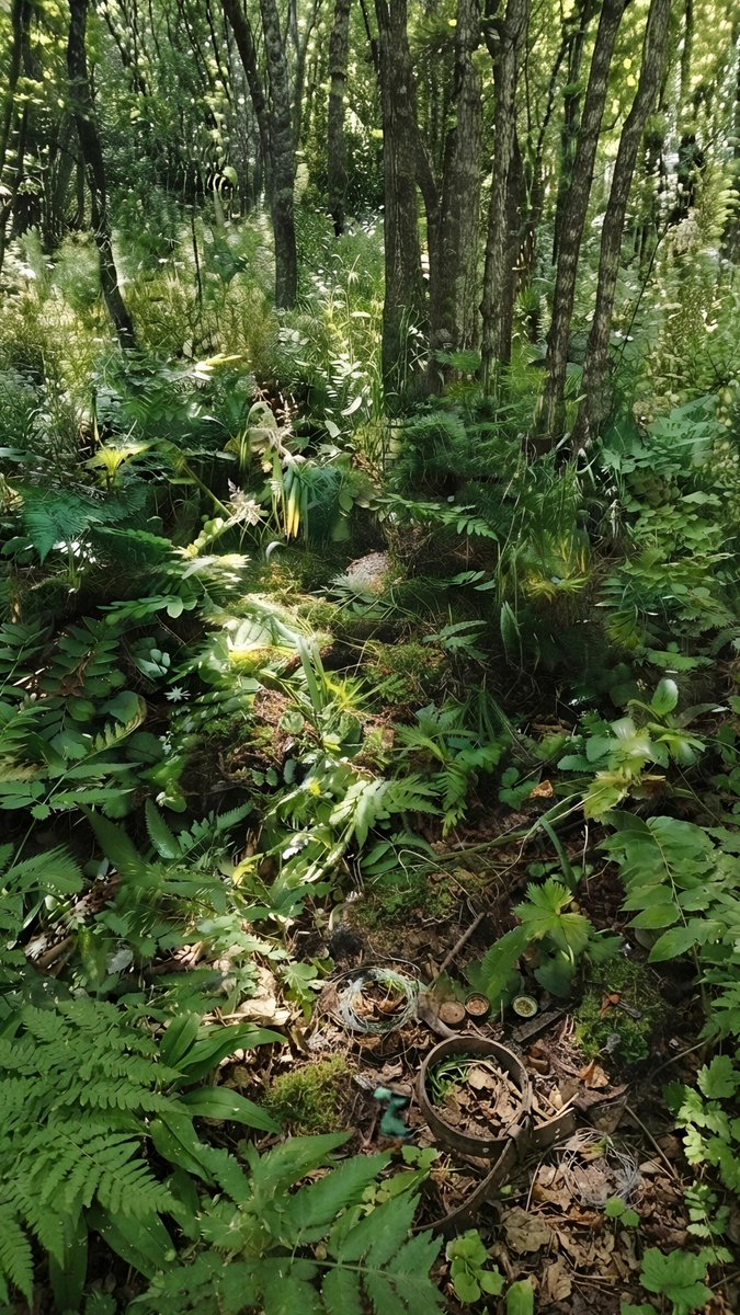 pariiisafa's tweet photo. @telegram it took me three hours to browse the entire wood and it's just a little part of my task 
İt's so heart-wrenching that we are really carefree about our dear earth :)
Loc : Iran , azarbaijan , arasbaran jungles https://t.co/pY4E74xDOq