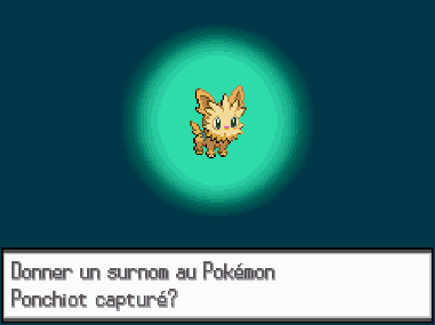 Mayroxsh's tweet photo. ✨ponchiot shiny pour le dernier de la famille et go phase 5 riolu✨ https://t.co/NFNiU1K6Yo