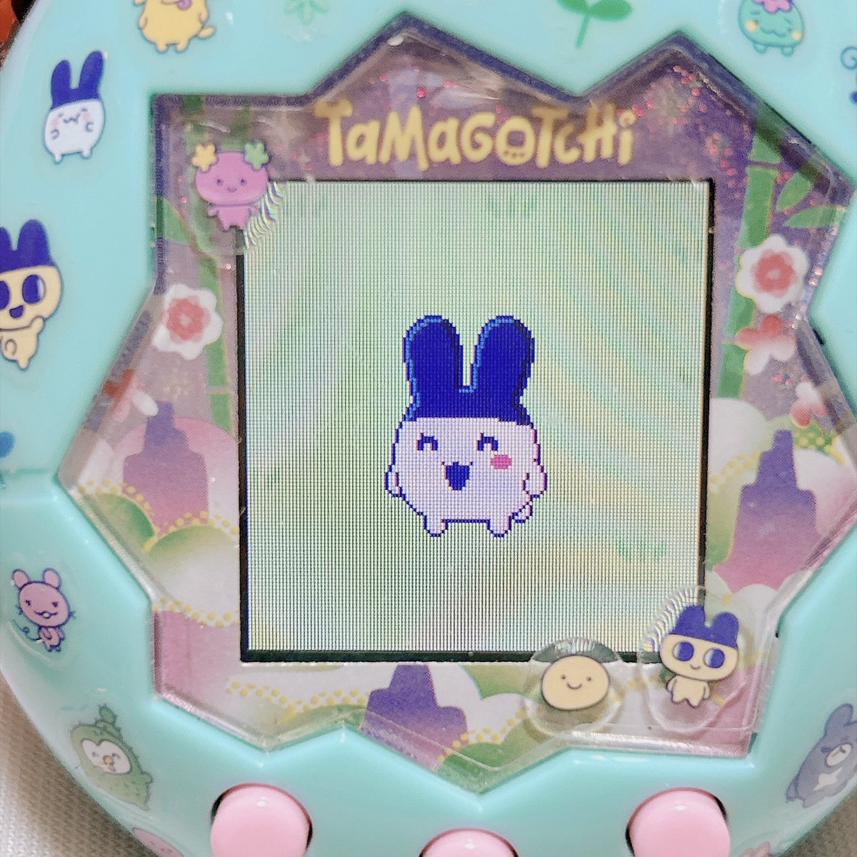 gocchi07's tweet photo. ふらわっち遺伝みみっち
#たまごっち　#たまごっちパラダイス　#たまパラ https://t.co/sfbmXiyJqp