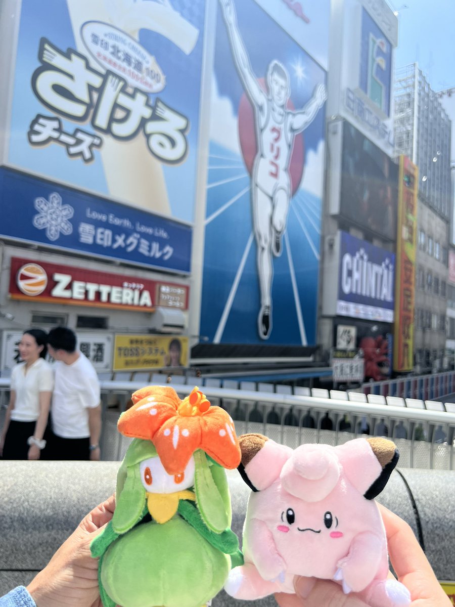 enargy7's tweet photo. 西日本ポケセン巡り楽しかったね🫠 https://t.co/HlZBlNLIf6