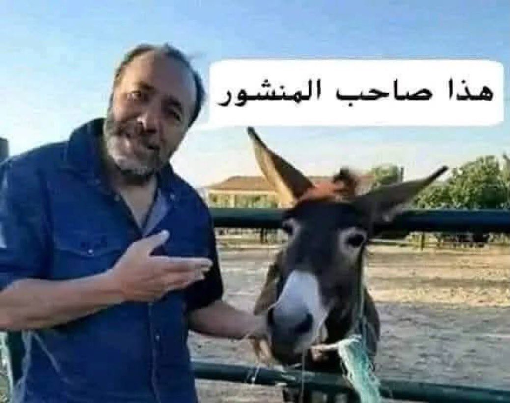 abdkutifani's tweet photo. @MS_salsabeel https://t.co/5SPHaxwyGl