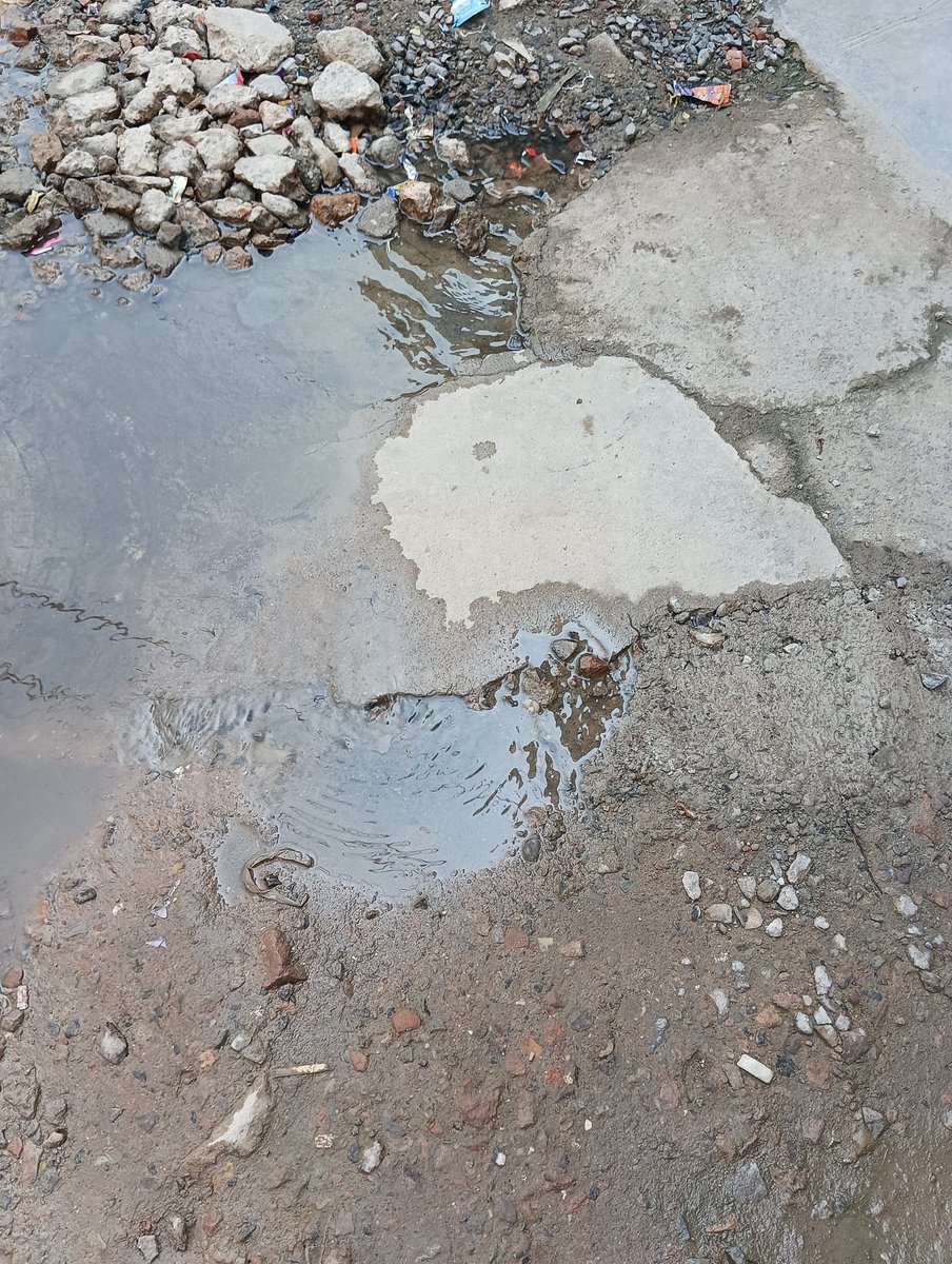 ParasKhatrii's tweet photo. @DelhiJalBoard ये जल board का sever gutter line leak है,  इतनी बार complaint के बाद भी ठीक नही हुआ, हमारे घरों मे पानी मरता है इतना 
 📍Narela pana paposiyan delhi @gupta_rekha @LtGovDelhi @DelhiJalBoard @DelhiComplaint @DelhiGovDigital @NavbharatTimes @timesofindia https://t.co/vPlMSZdEzx