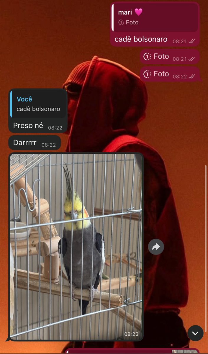 jkaperol's tweet photo. KKKKKKKKKKKKKKKKKKKKKKKKKKKKKKKKKKKKKKKKKKK o nome do perikito é bolsonaro… https://t.co/mAmORp5RPZ