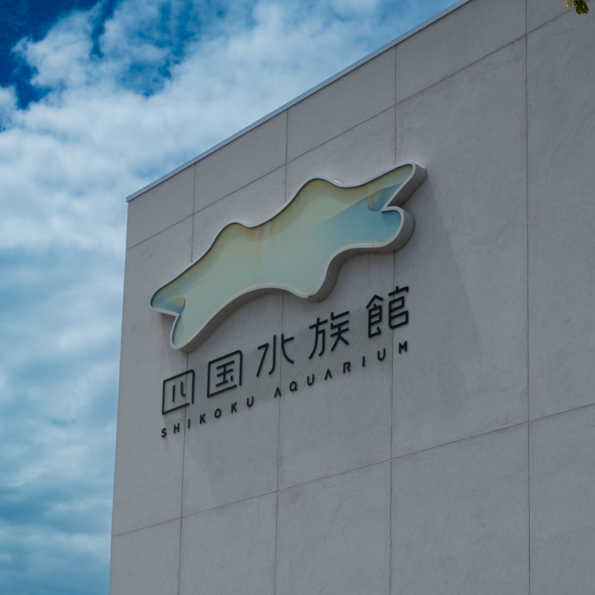 Ni830RH's tweet photo. 本日は四国水族館へ🪼🐬🐟🦭🦦🐠 https://t.co/XSPwFCwUMX