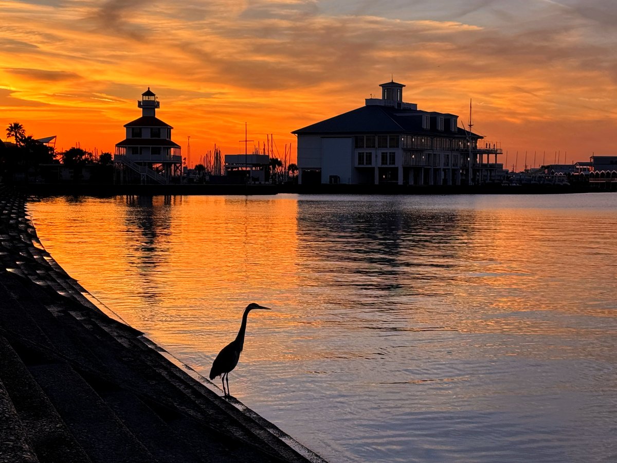 DavidMora's tweet photo. Summer skies in New Orleans have a way of making everything feel still, soft and peaceful.

#Lakefront #NewOrleans #Summer https://t.co/ki60gzP7q0