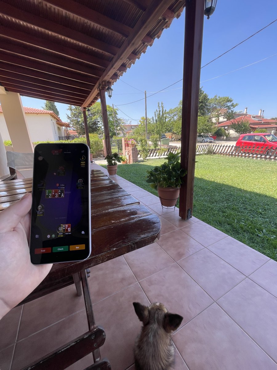 negrocooKk's tweet photo. You can't really tilt with poker when you play with this view and this little furry friend
 #onlinepoker
@CoinPoker_OFF https://t.co/Am2OihXfOZ