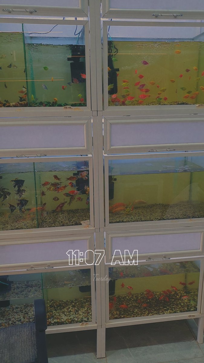 lD700M's tweet photo. https://t.co/K4gPCwVSWg