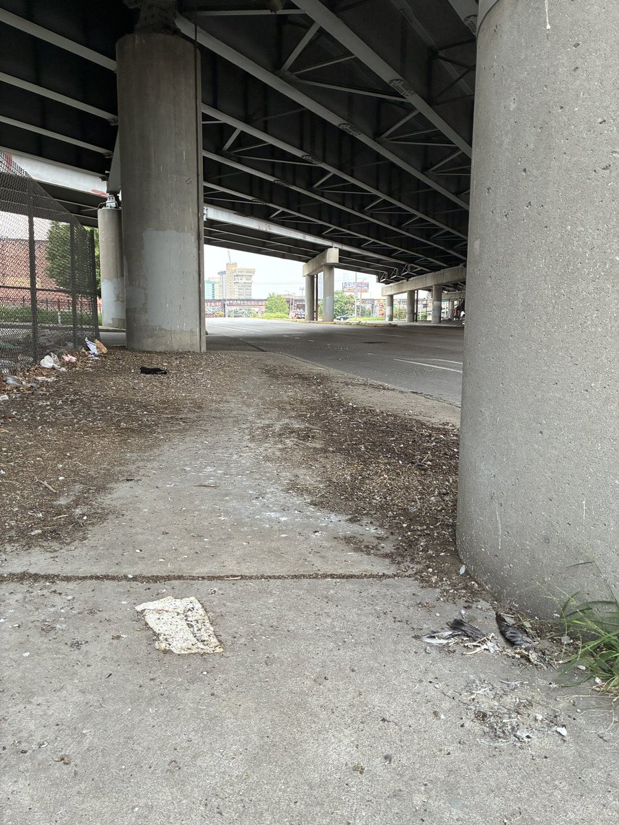 RyanJBuell's tweet photo. @stlcsb Anything we can do about the mess of pigeon droppings under Hwy 44 at Broadway? Not fun to walk through and bad for Cardinals games visitors. Health hazard https://t.co/05OnpeoJrY