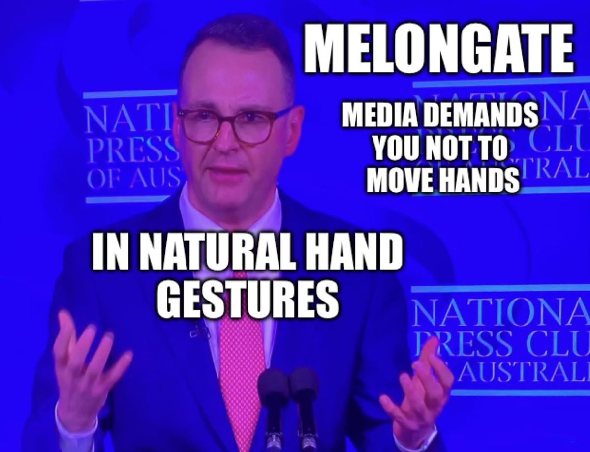 LyndaFrench19's tweet photo. @AngusTaylorMP #Melongate #AndrewBragg https://t.co/1SYK7a4T32
