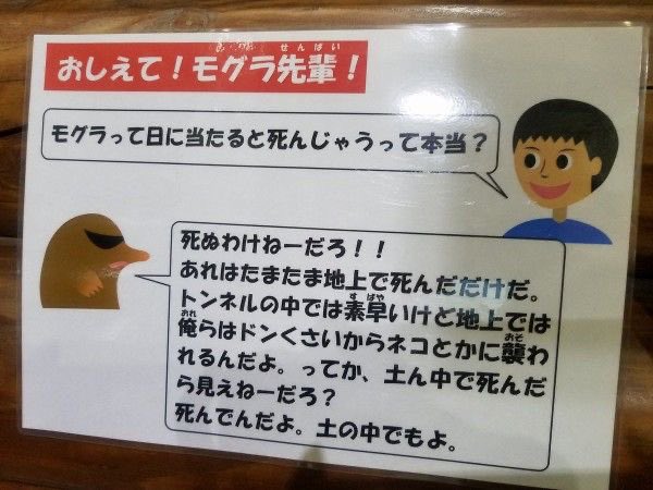 bad_texter's tweet photo. おしえて！ https://t.co/n2fkh6iqFu