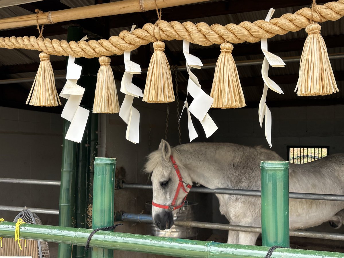 MUJIny_JB64's tweet photo. 午年に参拝したかったお社

#大和国鹿島香取本宮 
#ジムニー https://t.co/ICaVR5Svg8