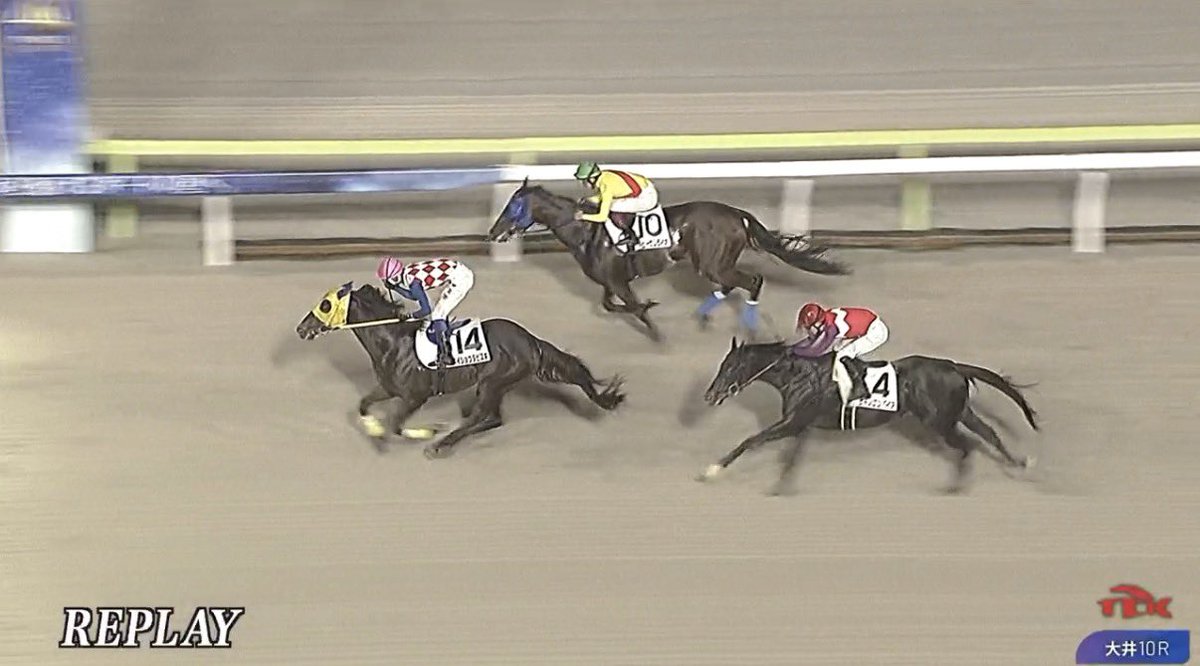 RIDE111RIDE's tweet photo. やっぱ⑩アイビーサムライオに勝てるのは⑭メイショウタビズキよね

④は拾えませんでした🫠 https://t.co/Zx6wixMQc7
