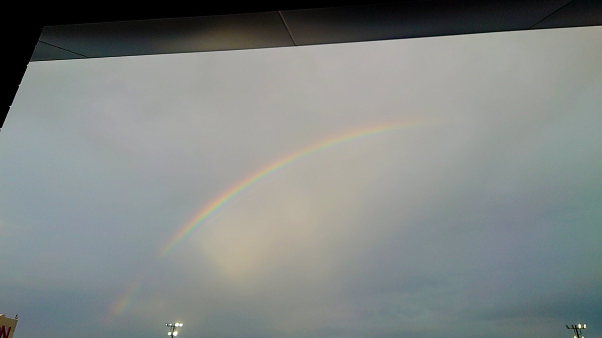 ayase__cas__'s tweet photo. 虹だった🌈 https://t.co/nZPXIKD3yT