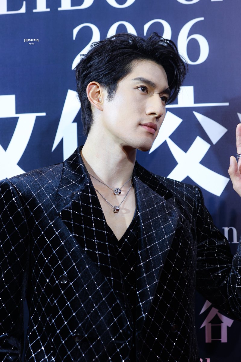 ppx0214's tweet photo. Side Profile 🖤

ZhengTong at Weibo Gala

#AylioXWeibogala
#Aylio https://t.co/JJj4onLA2g