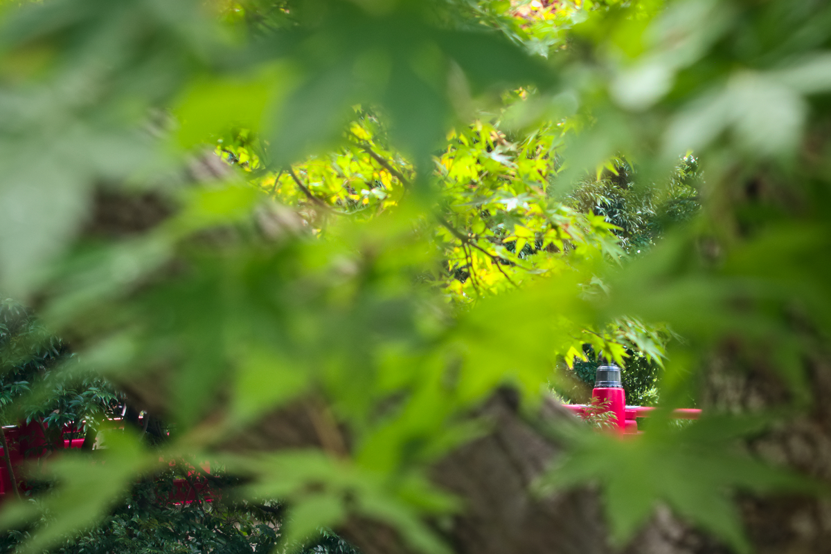 beansowing's tweet photo. #pentaxk70 #snap #omiya https://t.co/mmu2q7D0nR