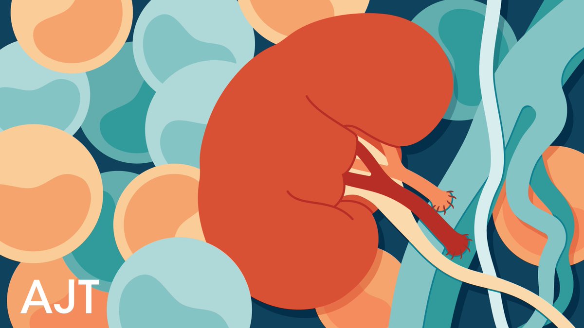 amjtransplant's tweet photo. 🚨 Editor’s Choice 🚨 
"Preclinical and clinical studies on kidney allograft tolerance via hematopoietic chimerism," by Wilson et al. https://t.co/NkQCWVr8Xt 
#KidneyTransplantation #Transplantation #TransplantTolerance #ImmuneTolerance #HematopoieticChimerism https://t.co/WsCc0d918f