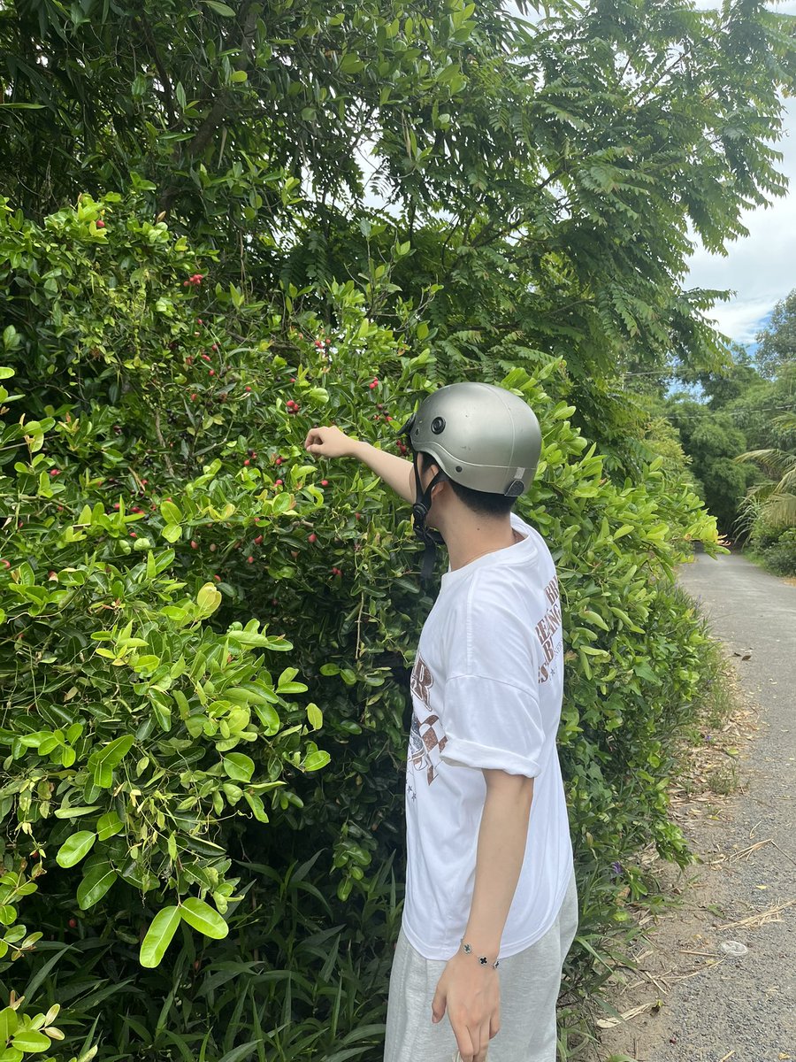 aeae_bb's tweet photo. Ăn hong https://t.co/qS3sWXrfRE
