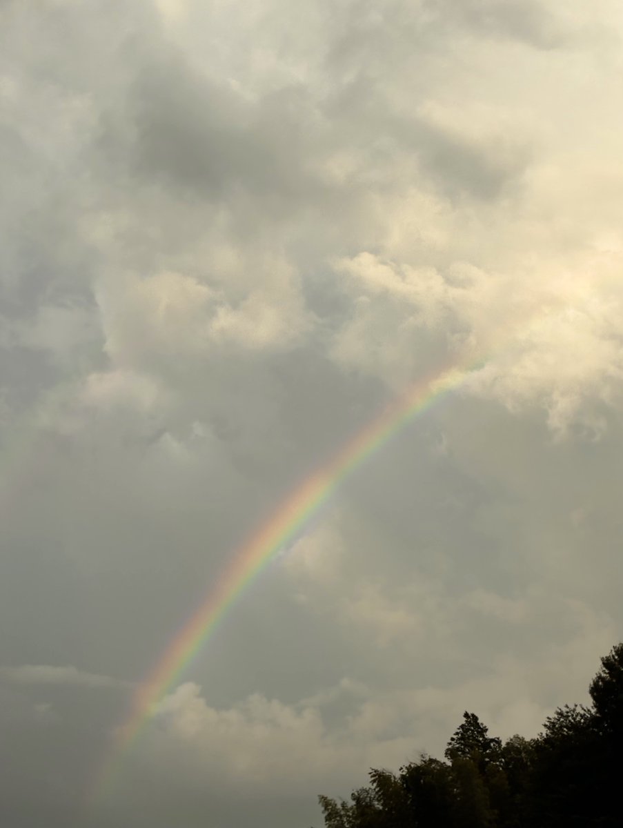 xepoche's tweet photo. my feet ache​s, but a rainbow arches https://t.co/RlmvbHMarK