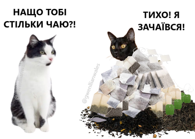 gwenllianwales's tweet photo. Якщо ви хотіли тупий мем https://t.co/3aFWJHvxb1