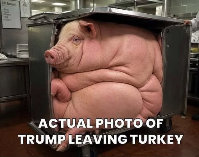 BillyMcduff's tweet photo. https://t.co/OnFvnmEVqL