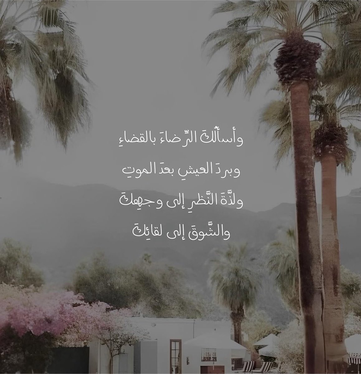 islamiat__'s tweet photo. https://t.co/CRuNboV9bS