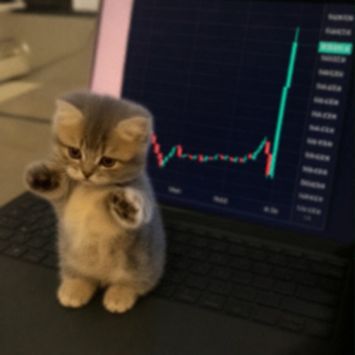 notrich101's tweet photo. @MMcfly91 @Poloniex Wi know what we hold https://t.co/Dhvy82q8RB