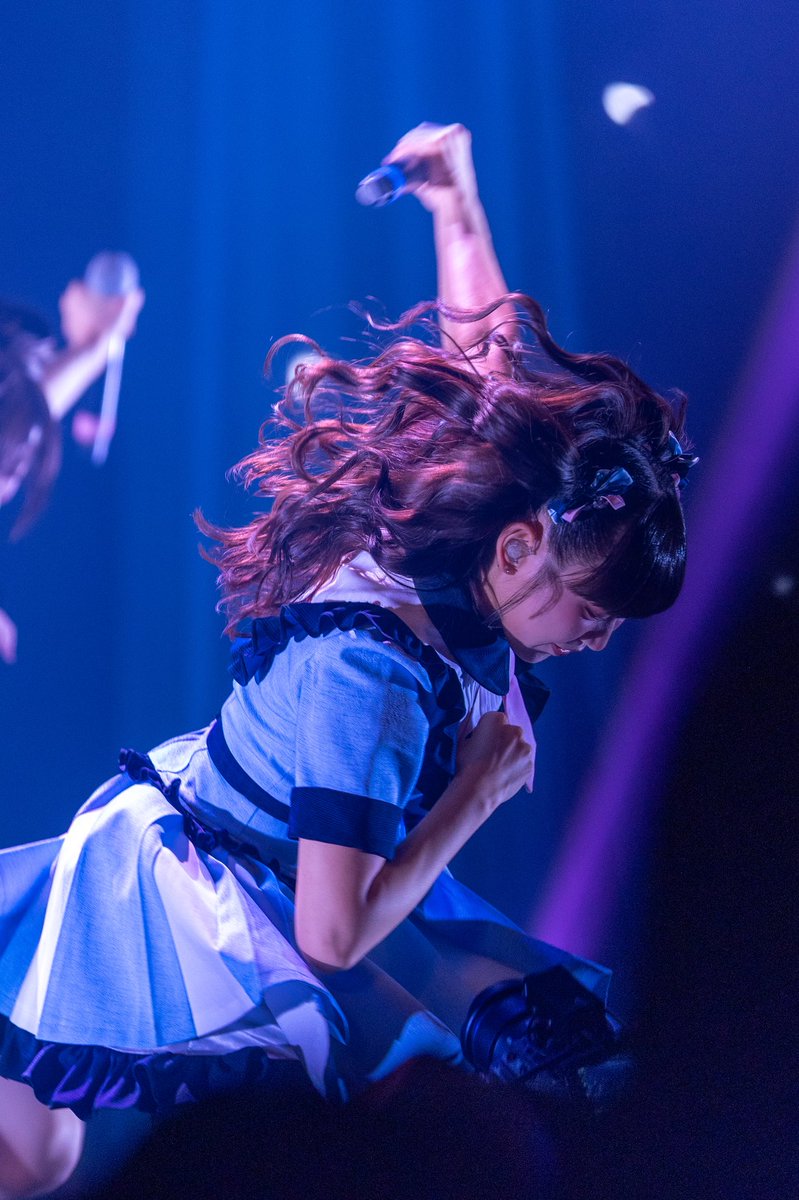 AKBMETAL's tweet photo. 高嶺のなでしこ
4th Anniversary Special LIVE 
〜STELLA〜
2026年8月6日(木) 
KT Zepp Yokohama
 
籾山ひめりさん（ひめりん）
涼海すうさん（すうちゃん）

#カメねこ
#ひめんしょん
#すうですぅ https://t.co/UX8aTmbNHL
