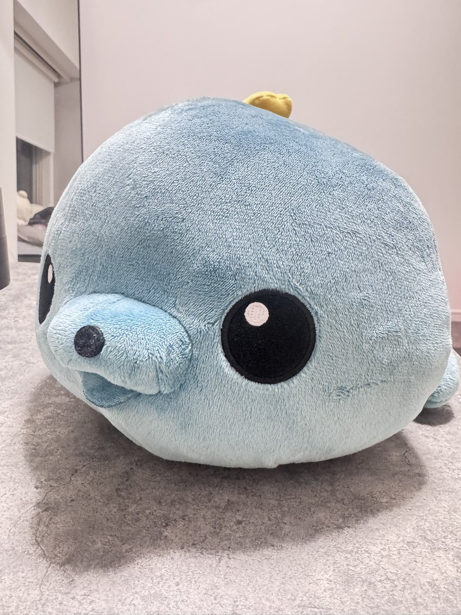 chacocoloco145's tweet photo. 頂いたﾀﾏｧ~~~~~🦭🎶 https://t.co/YlBatDWdjy