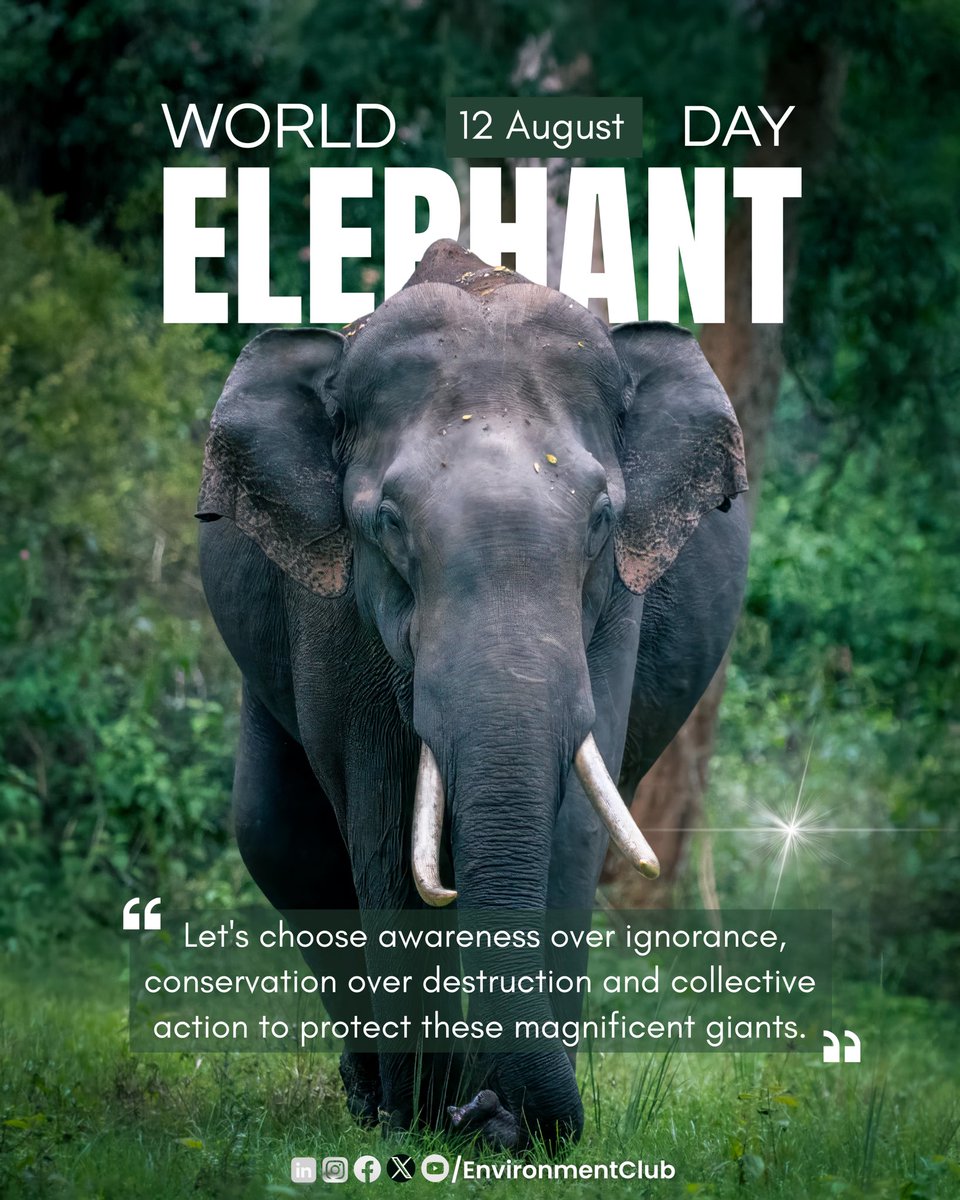 enclubmrt's tweet photo. #Elephants are not just majestic animals, they are ecosystem engineers.

Earlier this March, our team visited Kalagarh Tiger Reserve #Uttarkhand, where teammates experienced memorable sightings of these magnificent giants in the wild.

#worldelephantday #worldelephantday2026 https://t.co/L3sG6ct1FM
