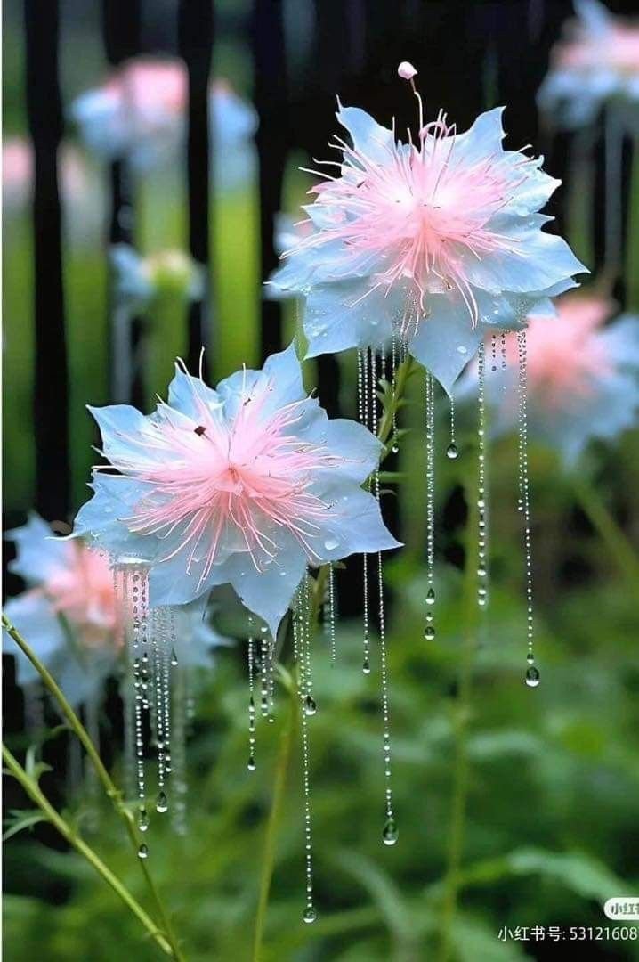 EvergreenWspgm's tweet photo. https://t.co/UyEMVg5rvy