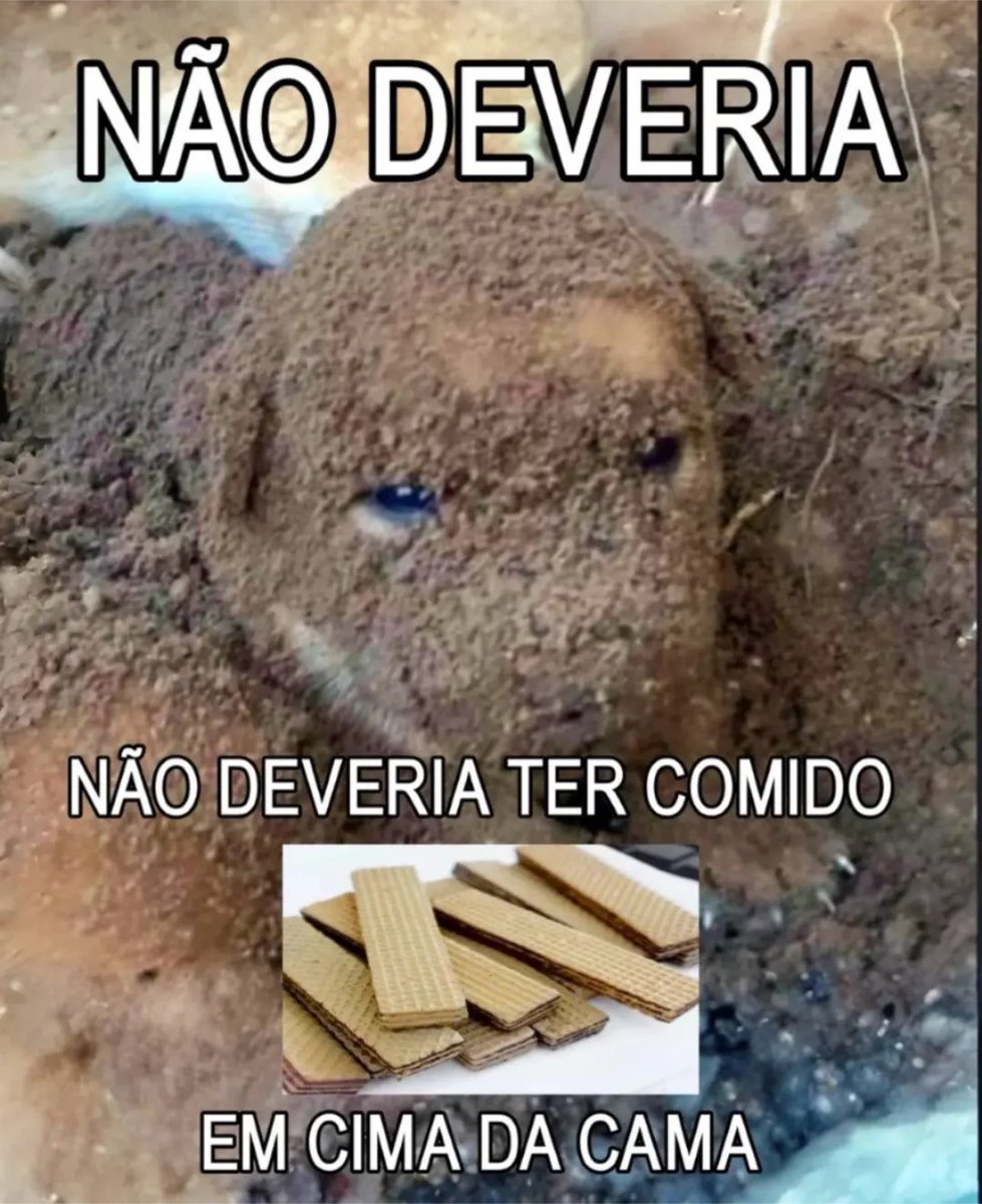 skereunpesado's tweet photo. https://t.co/kAJBQyuRmF