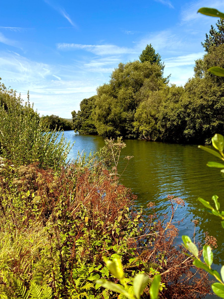 WHMyPerspective's tweet photo. @clairew12073357 Beautiful Day for an Afternoon walk ๐
#Arklow #RiverWalk https://t.co/ADjXP5kg7x