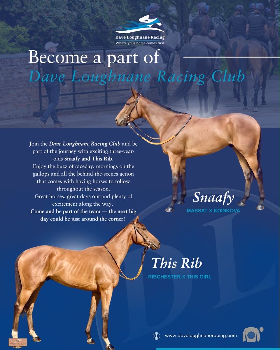 DaveLoughnane_'s tweet photo. Head over to our website for more info 🏇☘️ https://t.co/utUlh0mvrH