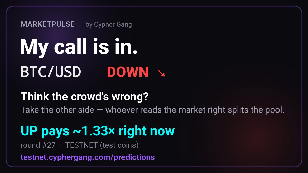 CALM_COIN tweet picture