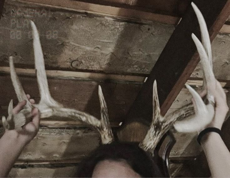 ladyriddIe's tweet photo. ⠀
⠀
we⠀ hear ⠀the ⠀wilderness⠀ and ⠀it ⠀hears⠀ us
⠀
⠀ https://t.co/7Q0xaSufjw