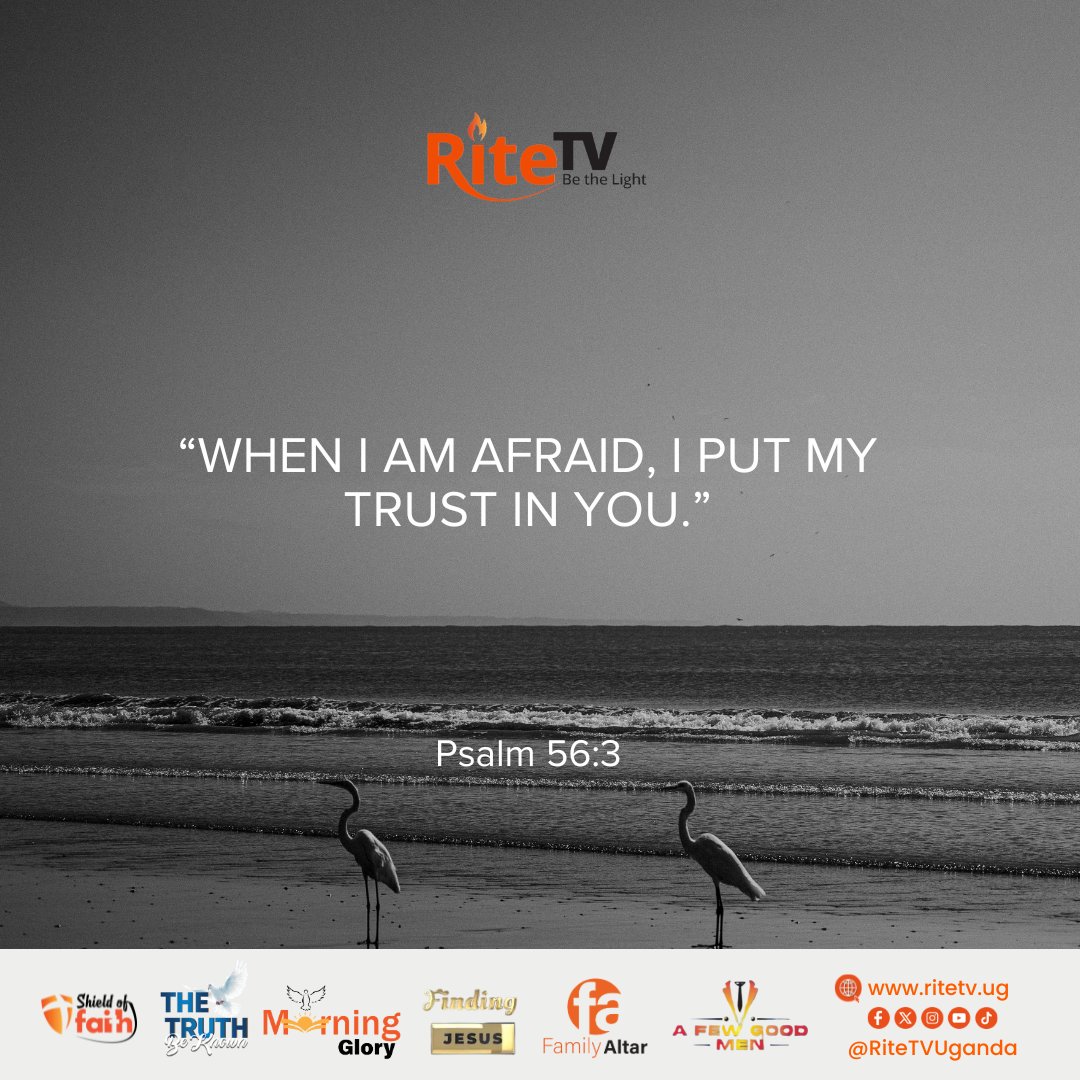 RiteTelevision's tweet photo. Fear may come, but we don’t have to face it alone. Put your trust in God and let His peace lead you.
#Psalm563
#TrustGod
#RiteTV https://t.co/tzRBrYy6Zn