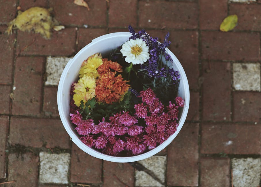FerminWhelvs's tweet photo. معرفتك كنز حقيقي. شكرا أنا أقدر يا أخي. البحث. الجهد المبذول في manuel lening🟢 https://t.co/oBG2cnDdAG