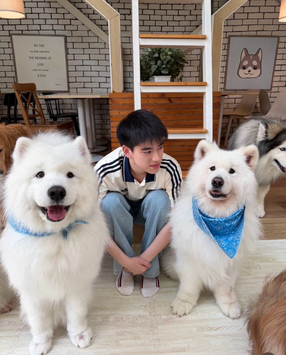 eunoiafay's tweet photo. Bro @yugeneyaknonmak 
Can I take the middle one? 👀😏🙈

He’s my type too🙊

#yujeenyugene #ujeenayp_ #yugeneyannawat https://t.co/cEz2hbXiJD