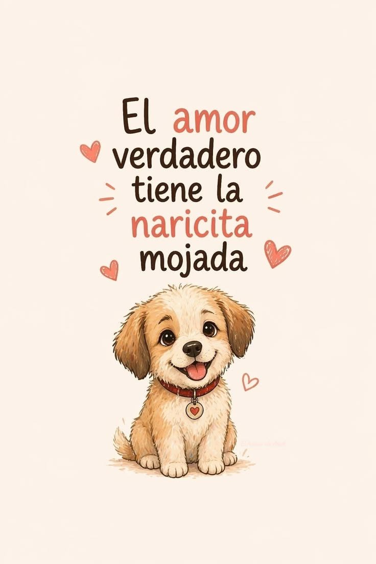 rey_latino33087's tweet photo. https://t.co/mVzWehBdQ8