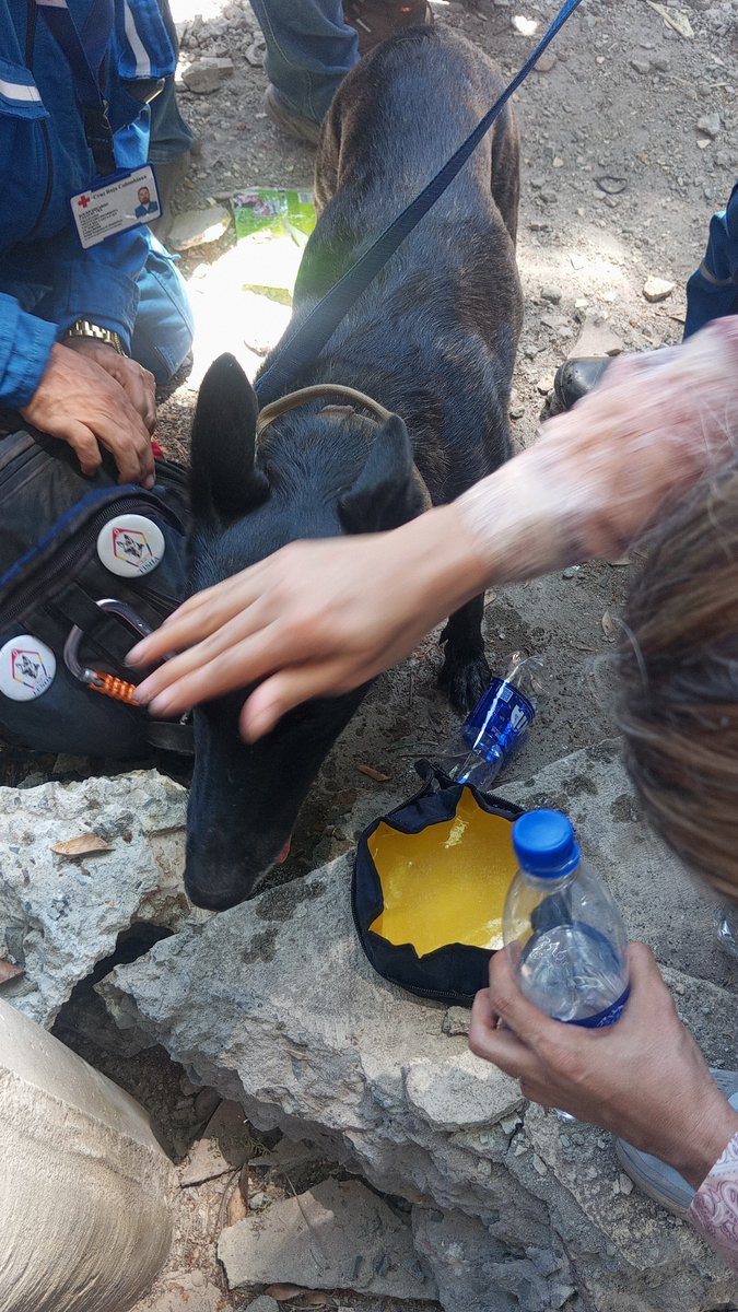 Angie095's tweet photo. @Bitacora58news Eso fue en capri, no es de la calle llegó con los rescatistas y es una niña, lo se porque estuve ahí https://t.co/prSZgYp20h
