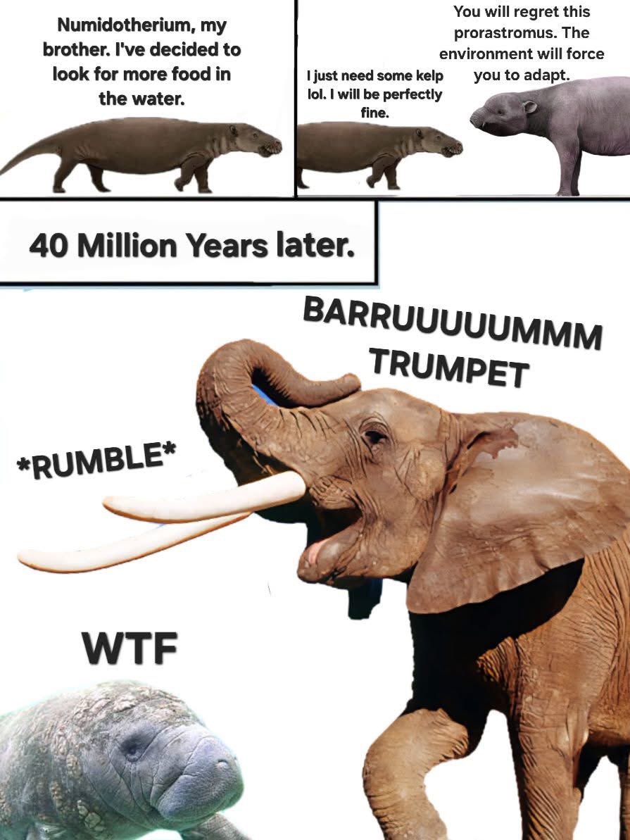 TM9380's tweet photo. Evolution go brrrrrrrr https://t.co/so0K9LOlVt