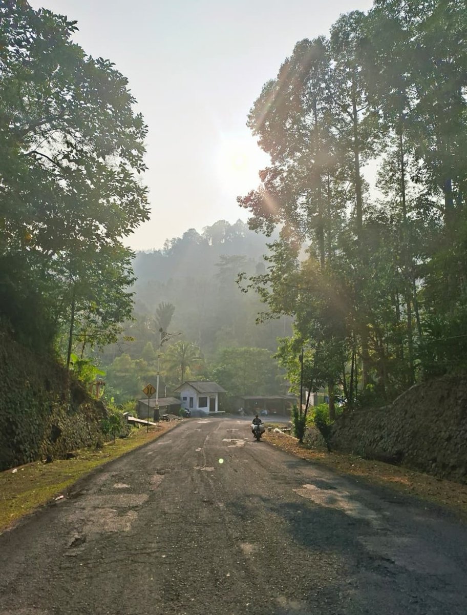 alonicv's tweet photo. oleh oleh https://t.co/LyOR6IsPrH
