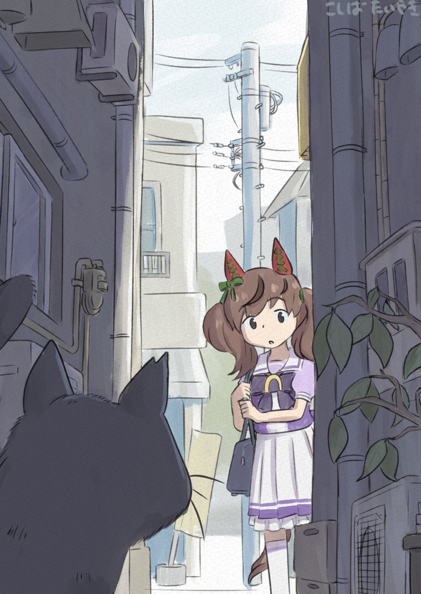 KOSHIBATAIYAKI's tweet photo. 🐱 https://t.co/NF04wFvLuq