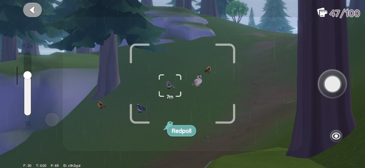 aozurei's tweet photo. @heartopia_fess Biasanya bug sih, burung yg di atas pohon jd nangkring di bawah bareng yang lain, sering overlap, teleport, sama zooming  juga 😭 https://t.co/RJCT1oiUqu