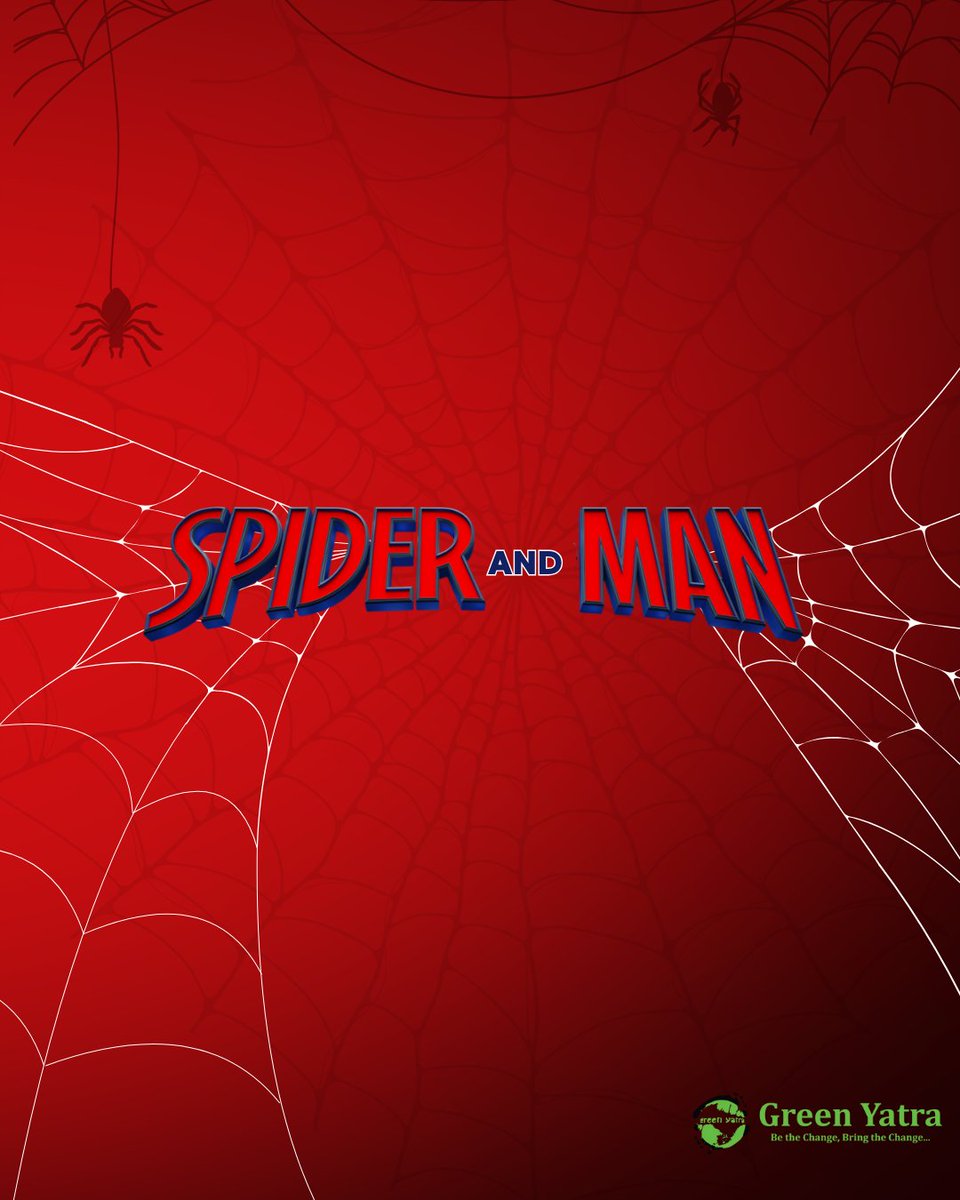 Greenyatra's tweet photo. Maybe biodiversity has more superheroes than Hollywood told us.

Spider-Man protects the city, real spiders help protect the balance of nature.

Tiny spiders can use "ballooning" to travel through the atmosphere. They release silk threads that catch air currents and can carry them kilometres away, sometimes even across oceans.

Beyond their aerial feats, spiders quietly regulate pest populations, support pollination cycles and hold entire food webs together. On Green Yatra's project sites, they are a sign of a thriving, balanced ecosystem.

No cape. No city to save. Just an ecosystem to keep in balance, one thread at a time.

Swipe to meet a few of the real superheroes spotted across our sites.

#GreenYatra #Biodiversity #SpiderMan #UrbanEcosystems #NaturesSuperheroes