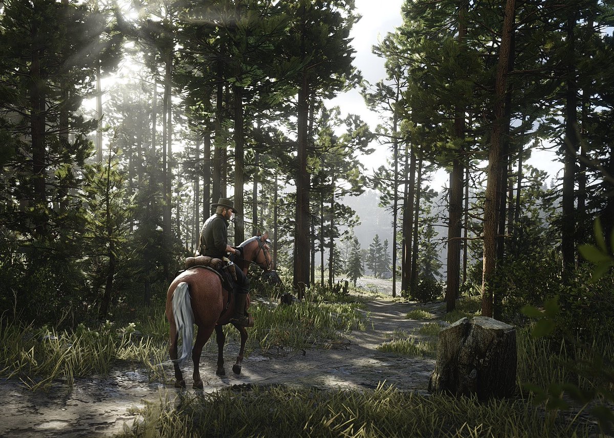 hashta_vp's tweet photo. Red Dead Redemption 2 https://t.co/half9I2NDt