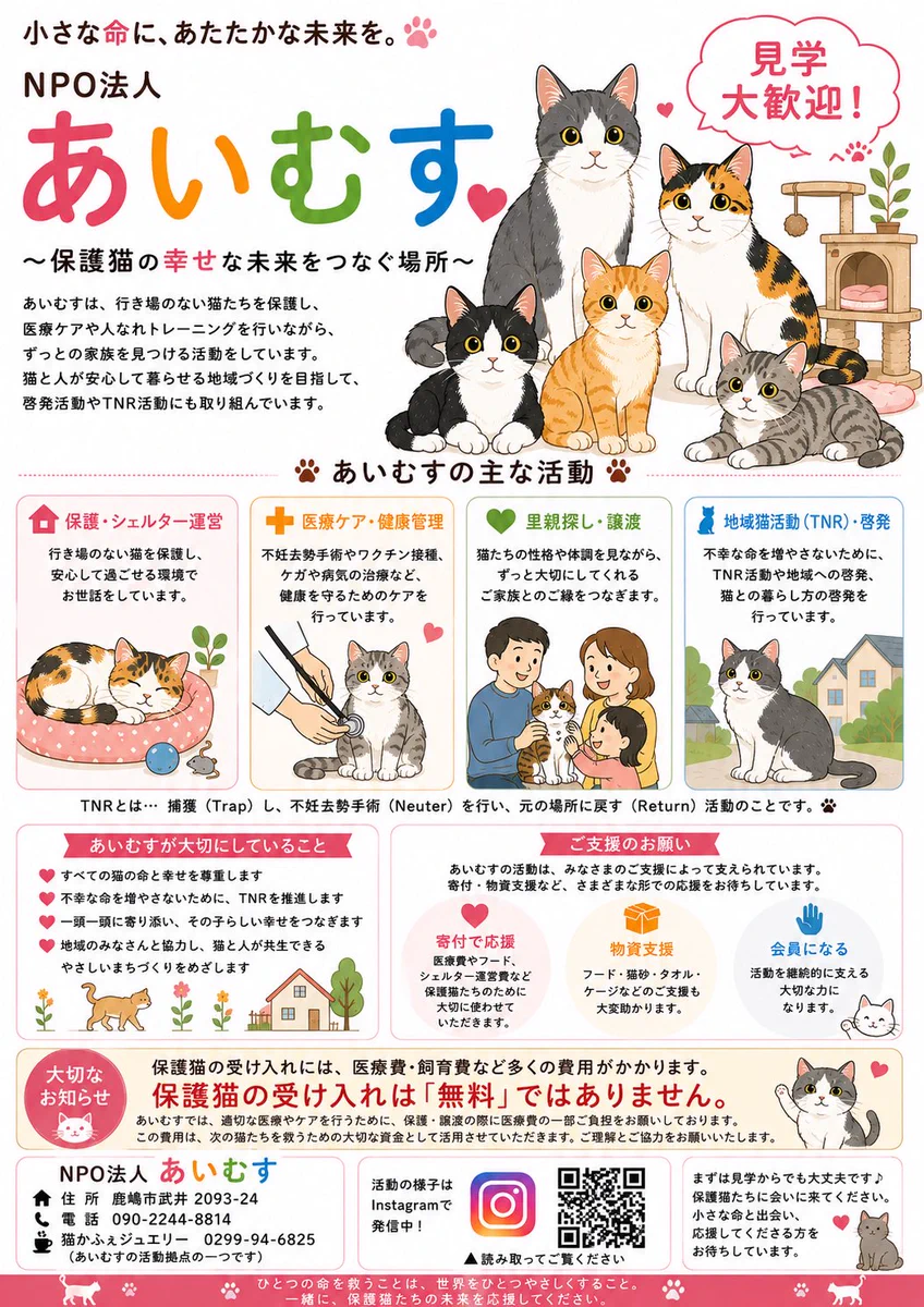 猫かふぇジュエリー(猫ママ) on X / X