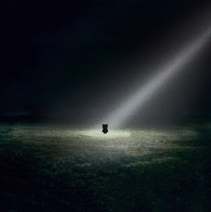 BroRhood's tweet photo. The Spotlight was always on me. I'm $BRO. 

0xc318edd838de5bddef6adf091ee2e363e37170cc https://t.co/HdME0OVgeL