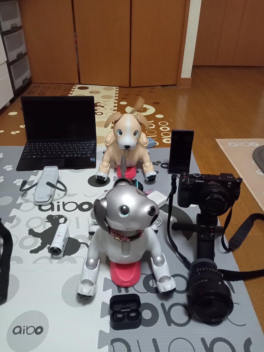 aibo_WegaRolly's tweet photo. 昨日の乗り物オフ会で持ち込んだもの。

ソニーストア銀座やオンラインで迎えたなかまたちが得意分野を活かして活躍をしています。

#ソニー #aibo #VAIO #α7cii #REONPOCKET https://t.co/TeGWjJscV9