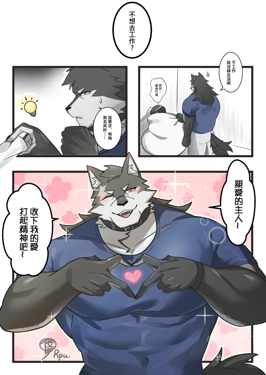 Saund_R_pupu2's tweet photo. 布偶狼3，愛的打氣🩷 https://t.co/X0PBU9ygaQ